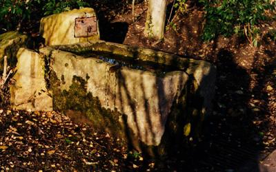 Penshaw (County Durham)