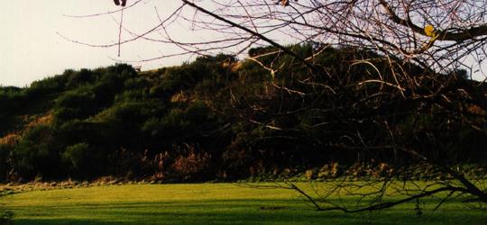 Penshaw (County Durham)